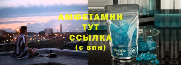 прущие грибы Аркадак