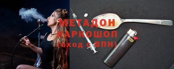 прущие грибы Аркадак