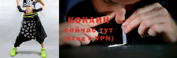 прущие грибы Аркадак