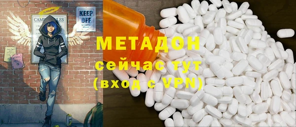 прущие грибы Аркадак
