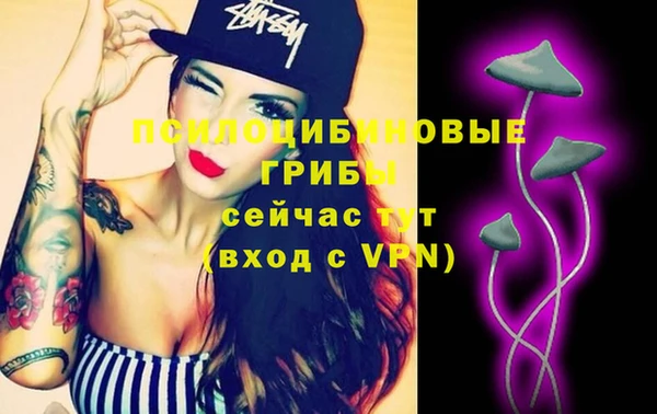 мдпв Арсеньев