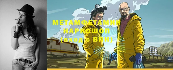 прущие грибы Аркадак
